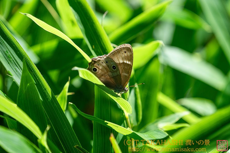 ../Images/7R240817 (15).jpg